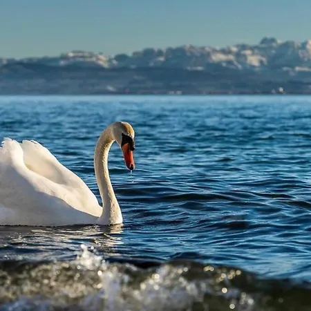 Cityapartment Direkt Am Hafen Apartment